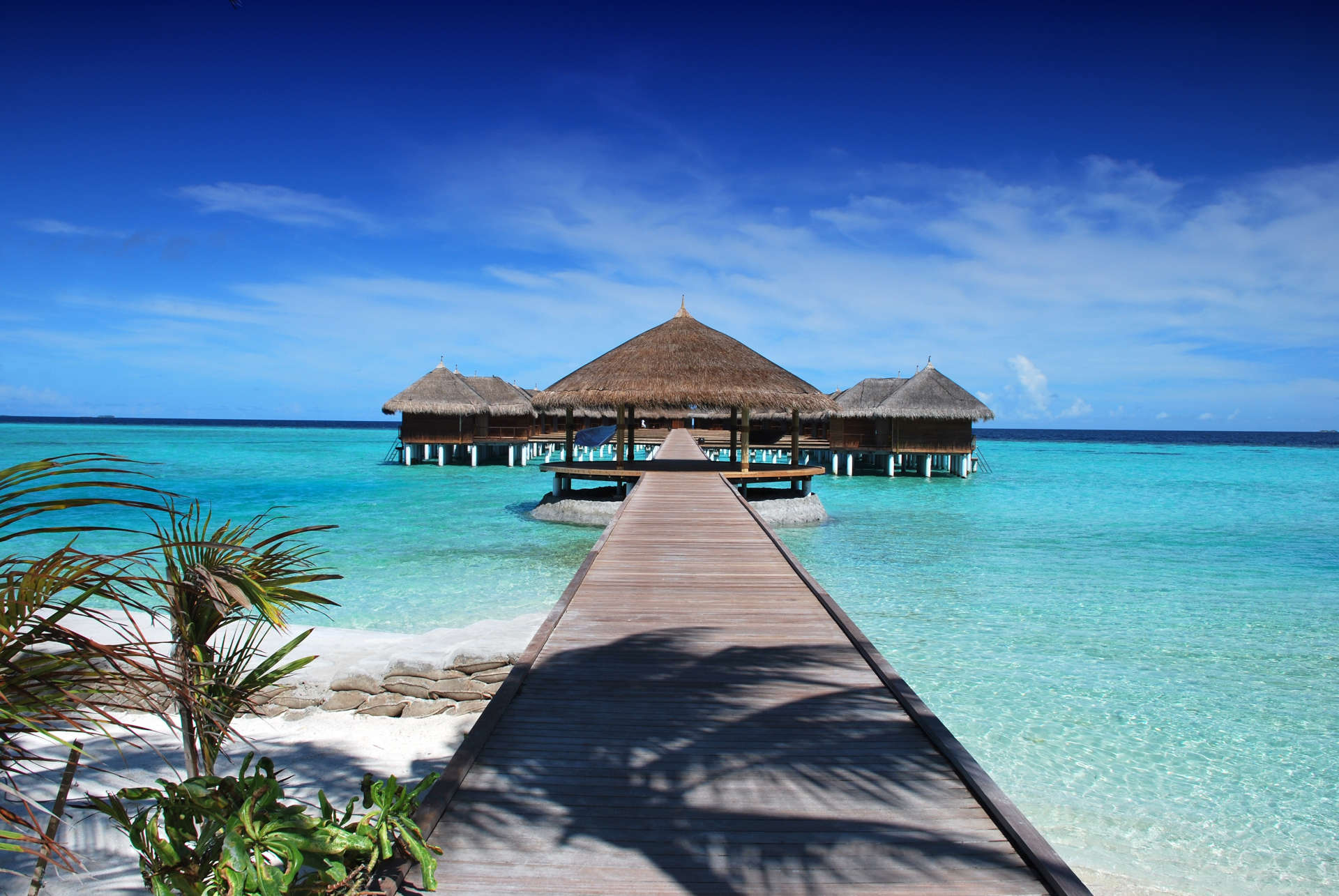 maldive-mobile