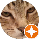 Sandra Schütz profile picture